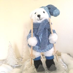 Winter Polar Bear skiing